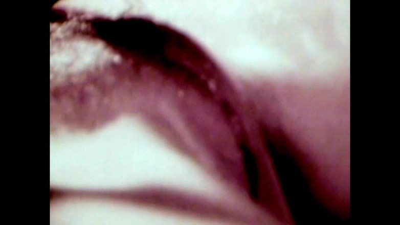 The Unforgettable: El Potro Salvaje