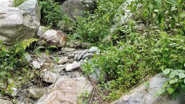 Uttar dinajpur: 村のインディアンアウトドア、リスキーなアウトドア、ホットメイドとのセックス