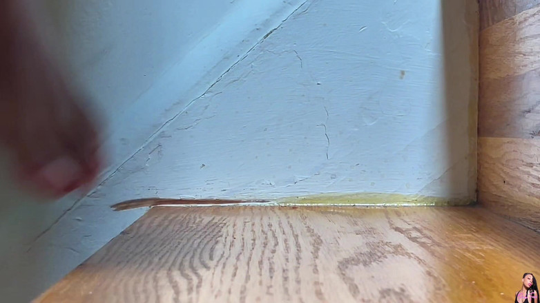 Pink Foxx: Subindo E Descendo Escadas