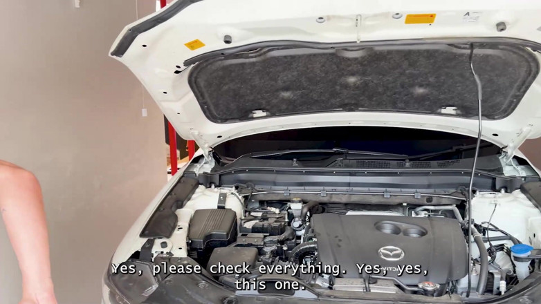 Zack whiter: Mechanic Fucks a Busty Beautiful Brunette Who Was Desperate for...