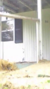 Locked Out! Pee Accident After Gardening