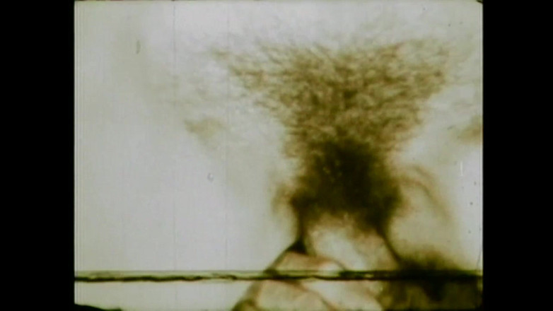 The Unforgettable: Kouzlo mého zadku