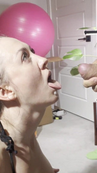 Cumshot 344