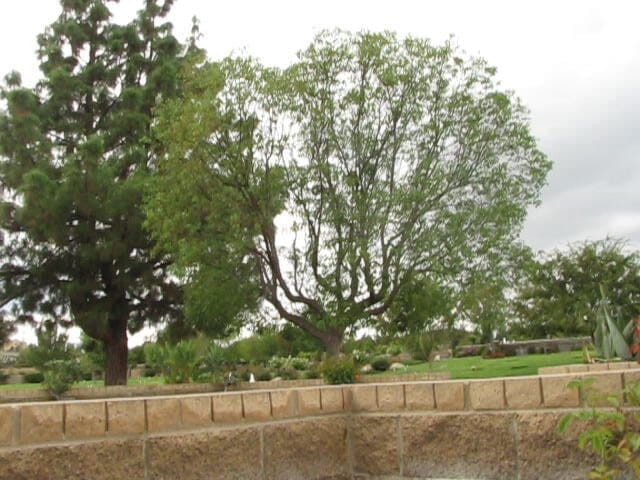 The porky pervert: 室外公园撸撸3