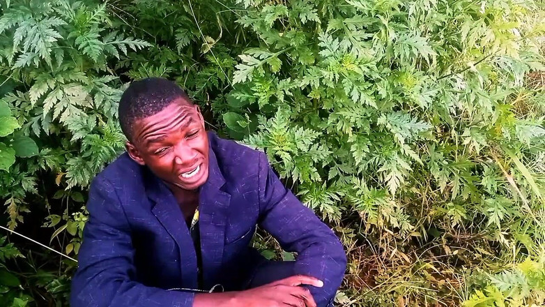 Judith xxx: У новій любові