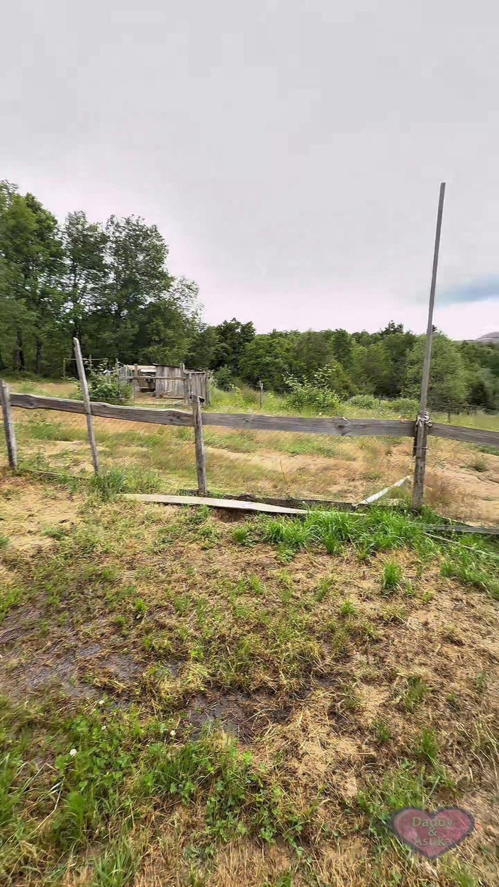 Daddy and Asuka: Dagtid knull på gården