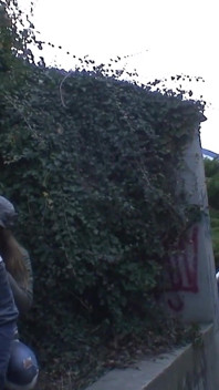 The Seediest Ghetto Is Where Outdoor Breeding Can Be Done in Relative Peace