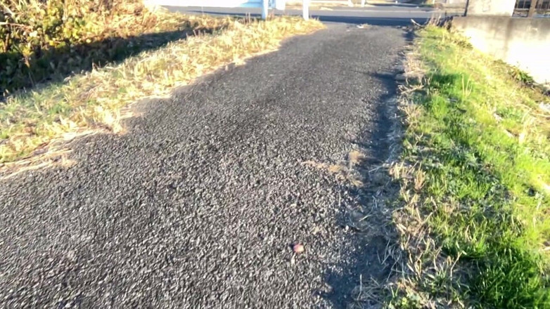 megu2002: 자기 훈련 No37 매일 아침 스타킹을 신고 노출 걷기