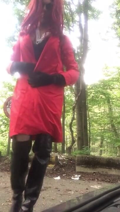 Sofiasse: Caminaba por el bosque