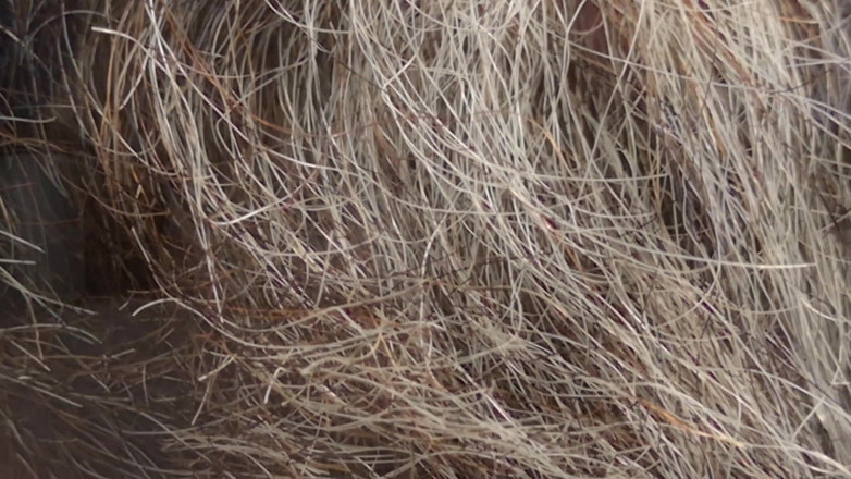 JJ7779: Ensam kantar min kuk med ett nytt knullhål