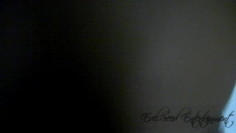 Evilseed Entertainment: Bathroom Quickie