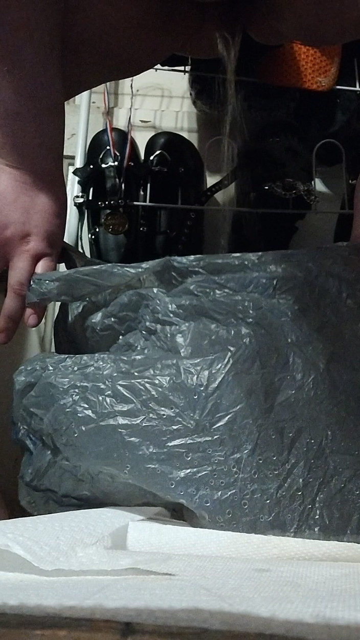 Raven Starlight: 袋の中の絶望的な小便