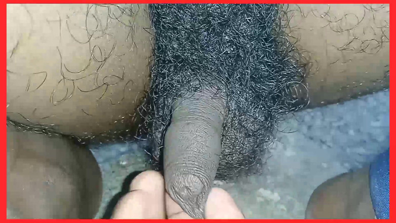 Lovely rose adit: 神经 206