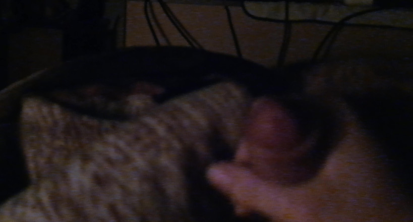 Horny Boy 18 year: Nastoletnie Squirts