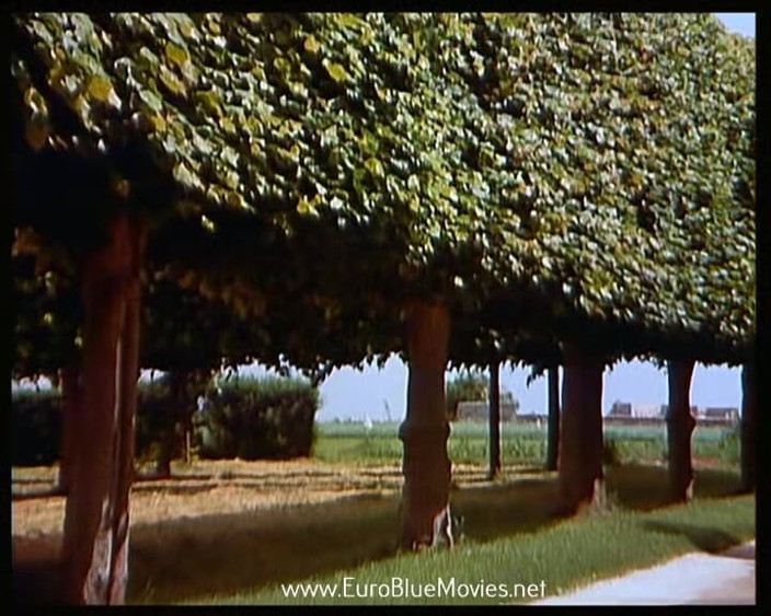 Euro Blue Movies: Klienci 1982 - cały film