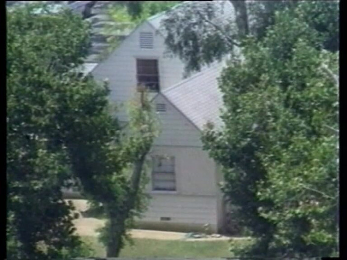 Vintage megastore: Вінтажна секс-мрія, том 1