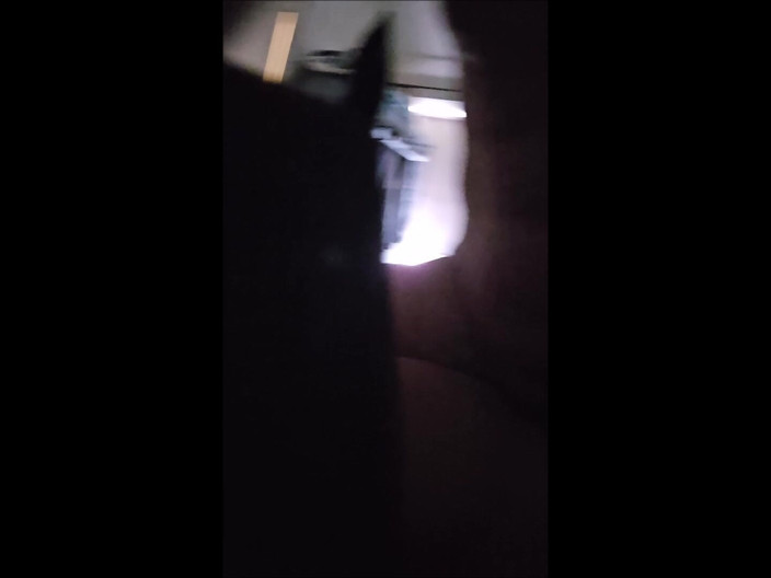 SilverFux: Mogen frånskild kvinna går med på att betala hennes hyra...