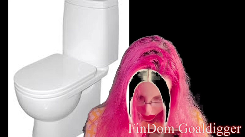 FinDom Goaldigger: Gold toilet transformation
