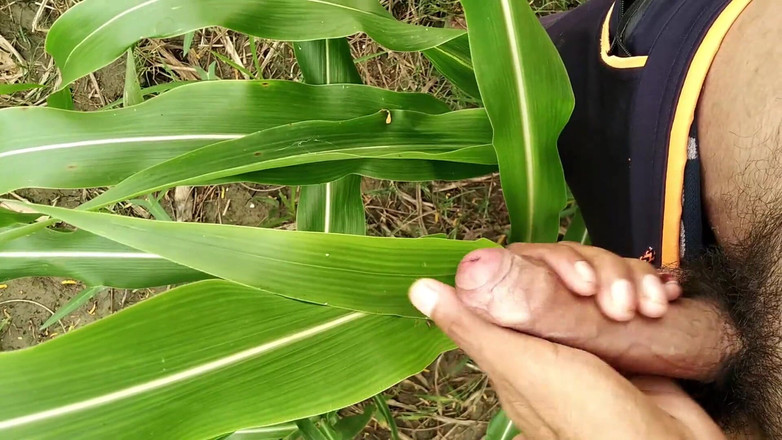 Desimast7: Großer schwanz, der auf dem feld kommt, abspritzen auf milch