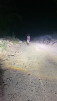 Anne Steele Nude Flashing on Road