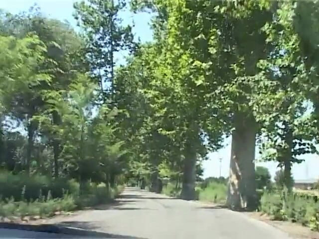 King Of Amateur: このチンコを取って走って