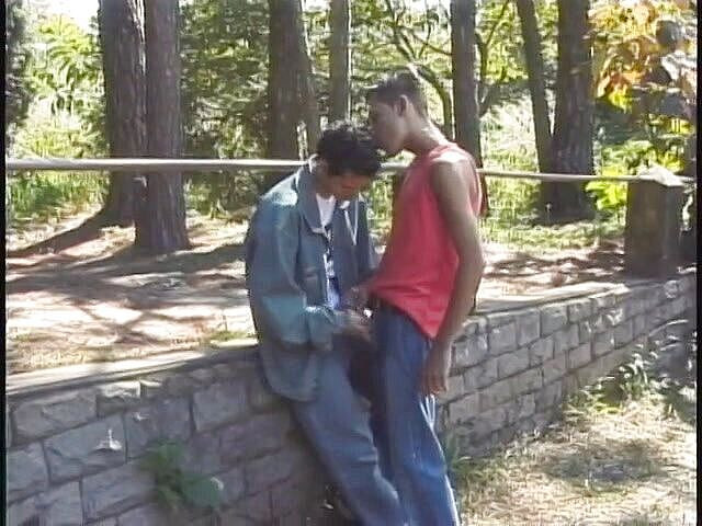 Bad Boyz: Così belle scene di botto anale e pompino profondo DVD