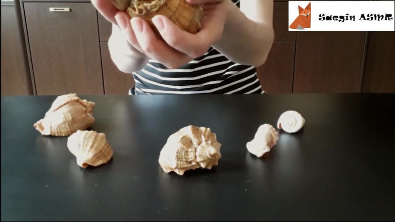 Saegin: 2[ASMR] Rubbing together and scratching seashells (no talking)