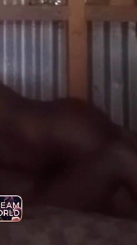 Hit That Pussy Naprawdę dobrze - chciała tego coraz więcej