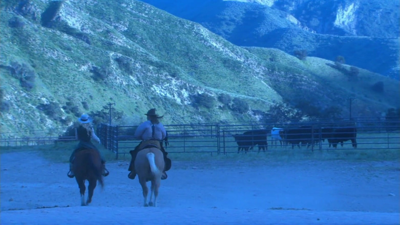 Radical: Riding in the Stable