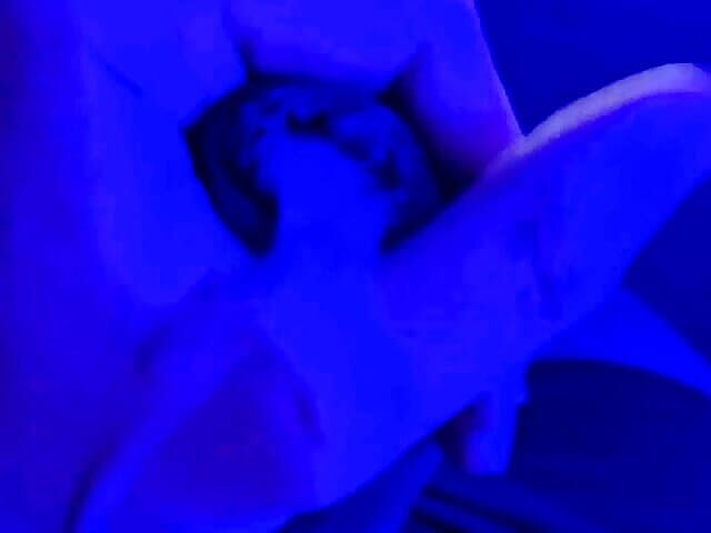 Lkdick8: Весела ніч на блакитному світлі 2