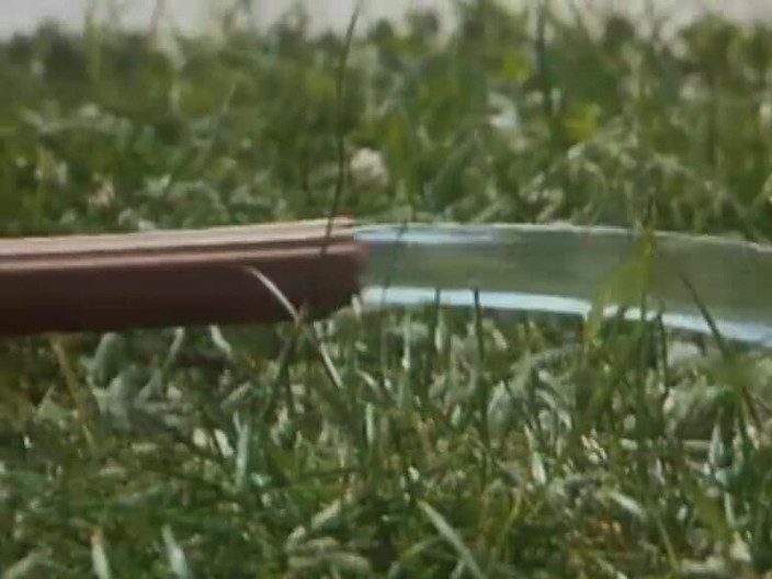 Java Consulting: Gaya doggy klasik di tepi kolam! (Adegan pertama, 8m26)