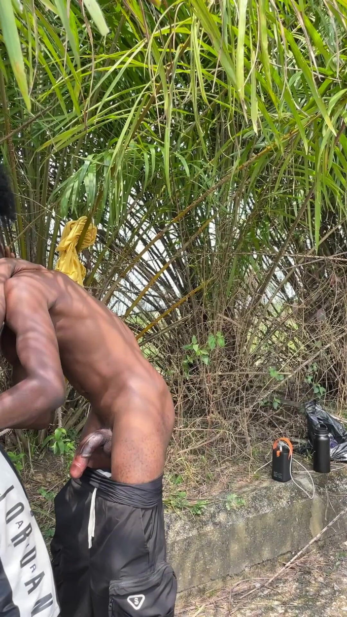 Vicfairy: Côn đồ bụi rậm