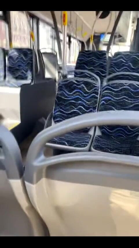 SniffHeadGER: 버스 POV에서