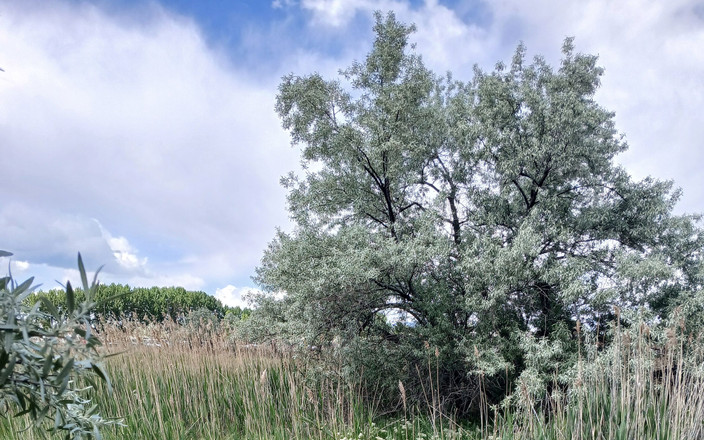 Jasonkw73: Buitenshuis weet je