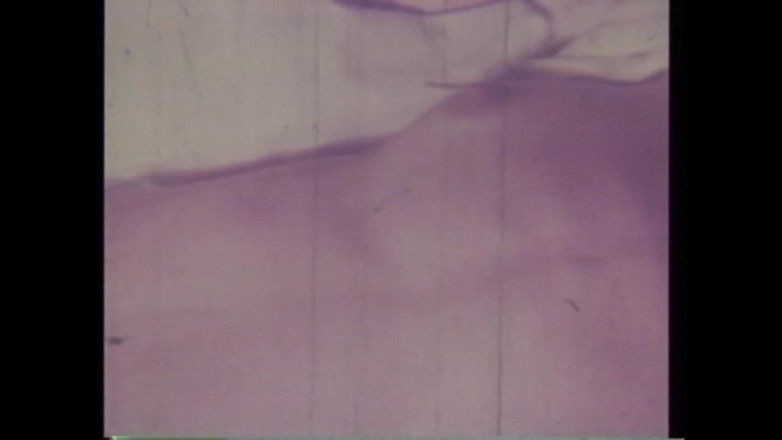 Vintage Usa: C'era Una Volta in America XXX - (vol. #06)