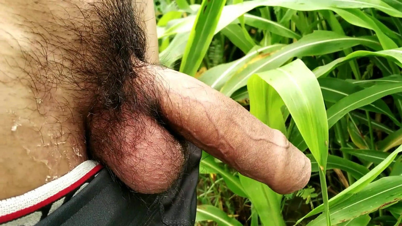 Desimast7: Venkovní honění a výstřik na trávě