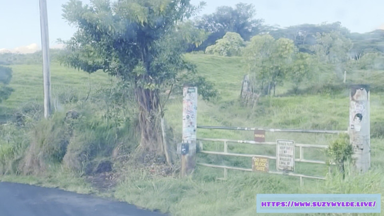 Suzy Wylde: Sfw Road Trip la Hana pentru Suzy Wylde în Waimoku Falls,...