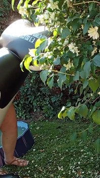 Al Aire Libre Con Mi Delfín