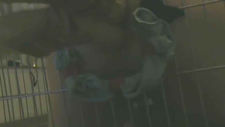No limit cbt slave: Slave in Cage Gets Anal Used