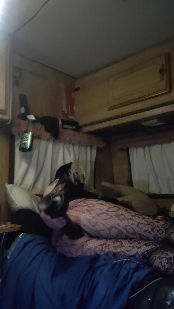 pornishprincess: Pro Rachel, která si vezme velkou černou hračku a miluje to