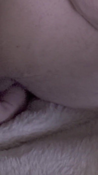 From Soft Touches to Savage Thrusts - Anal Edition