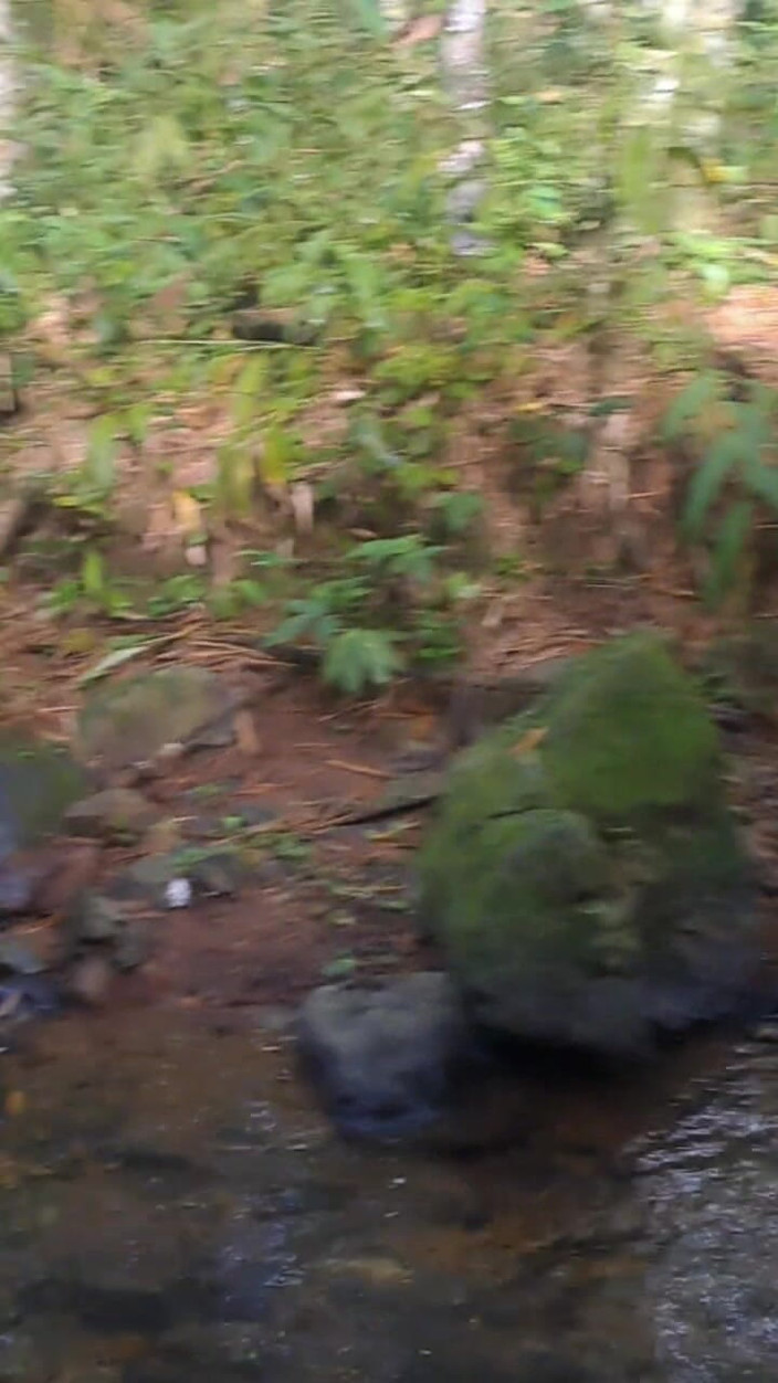 Valera Toro: Esplosione di Sperma Calda nella Foresta