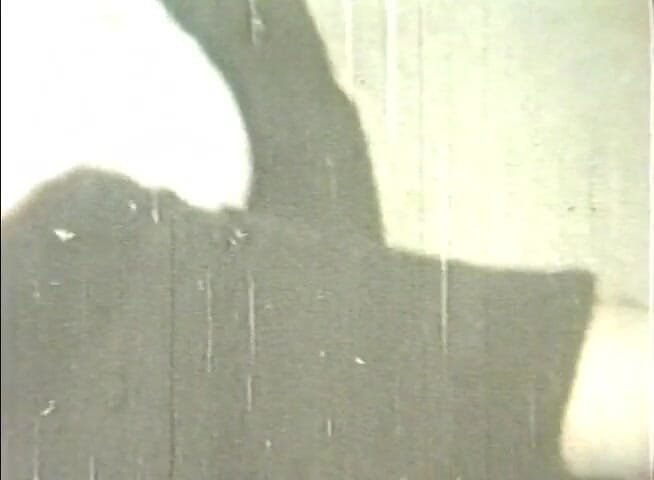 Alfacontent: Vintage pár má vášnivý orální sex