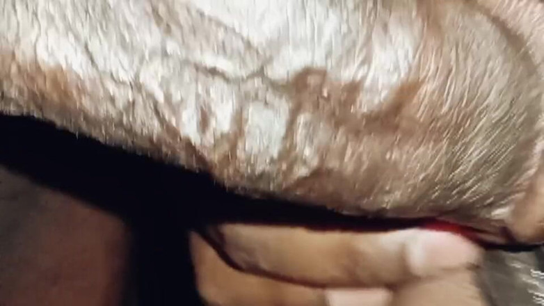 Xhtad studio: Desi Tamil rozwód MILF pissing