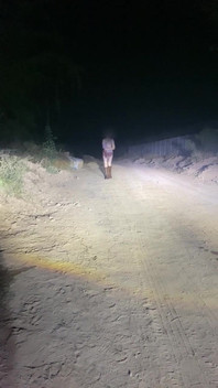 Anne Steele Nude Flashing on Road