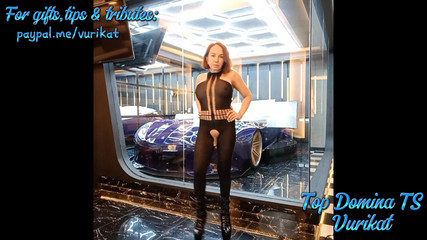 Vurikat: Jesteś gotowy na mnie? Smaruj to!