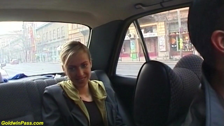 Goldwin pass: Milf picked up for public anal