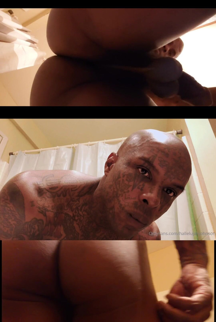 Hallelujah Johnson: 18スライドショーコンピレーション