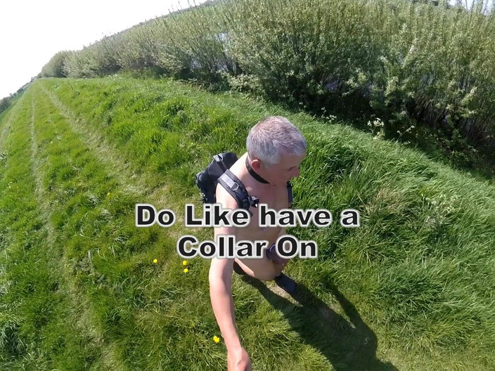 Andy: Yürüyüş 22 2025