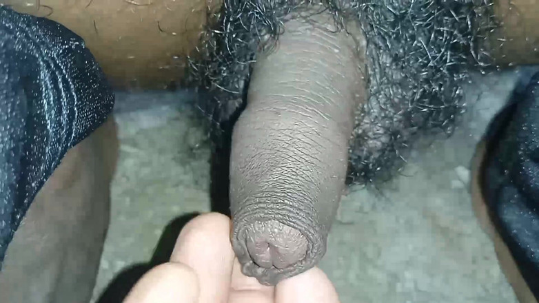 Lovely rose adit: 神经 195